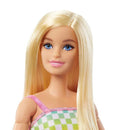 Barbie Fashionista Cadeira De Rodas Loira HJT13 - Mattel