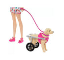 Boneca Barbie E Cachorro Na Cadeira De Rodas - Mattel