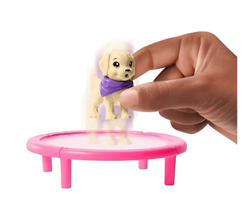 Boneca Barbie Negra Ginasta Com Pet - Mattel HVM10